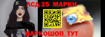 шишки Заволжье