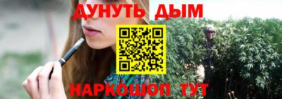 шишки Заволжье