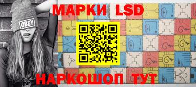 шишки Заволжье