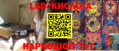 шишки Заволжье