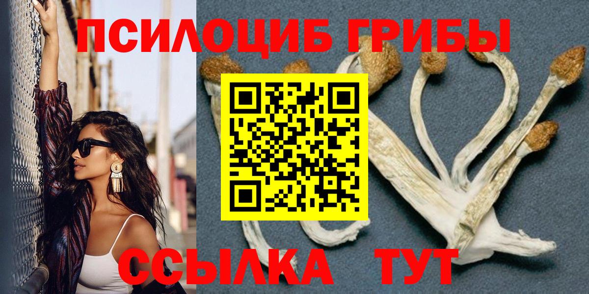 Галлюциногенные грибы мицелий Ликино-Дулёво